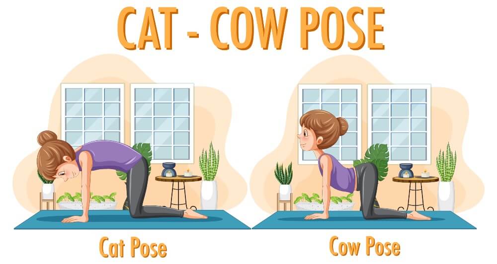 Cat-cow stretch.